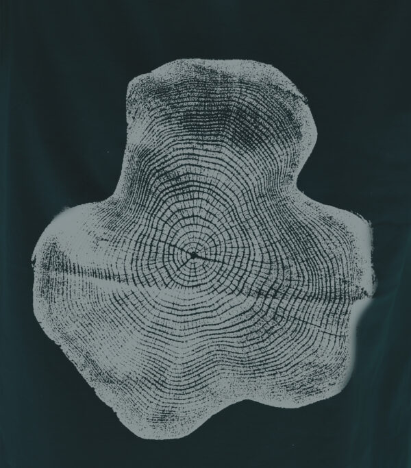Börzsöny - BIO - Image 2